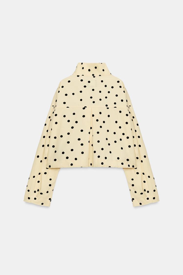 Zarelle Dot Set